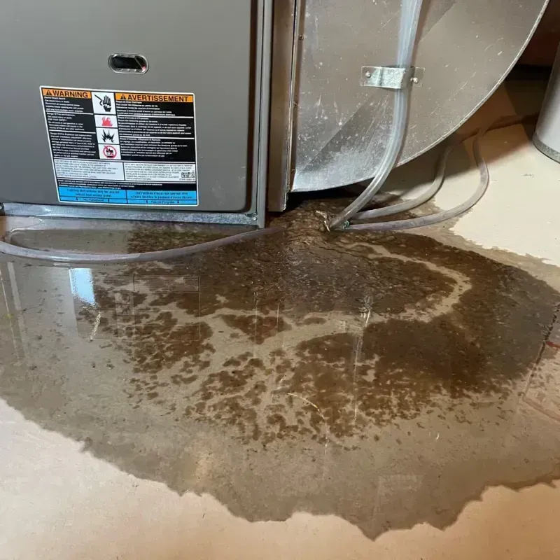 Appliance Leak Cleanup in Kingston, PA